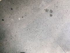 -沈大成(城隍庙店)