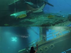 -福州罗源湾海洋世界旅游区