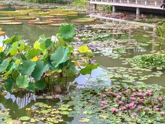 -国家植物园南园