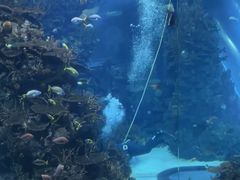 -江和美海洋公园