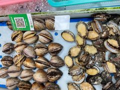 -南沙十九涌渔人码头-南门