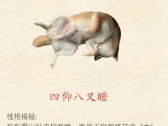 -北京派仕佳德动物医院·超导核磁·CT·神经科·骨科·内外科·急重症管理中心