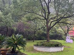 -陶祖圣境风景区