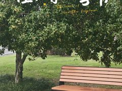 -九里河湿地公园