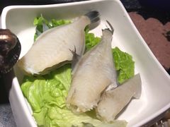 -锅说大脸毛肚重庆老火锅(佐阾店)