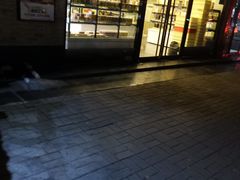 门面-金凤成祥(西罗园店)