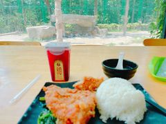 -上海野生动物园老虎餐厅