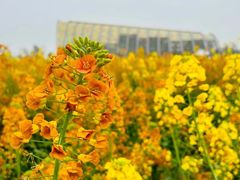 -中国天府农业博览园