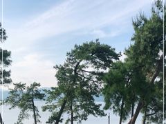 -宝荣鱼馆·临湖之宴(千岛湖店)