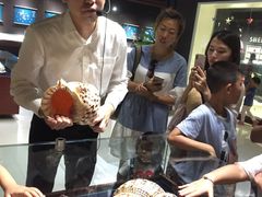 -青岛贝壳博物馆