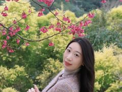 -福清灵石山国家森林公园