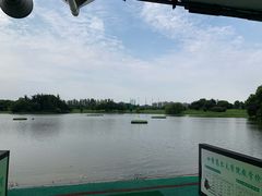 -银涛高尔夫练习场(徐泾店)