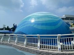 -海合安青岛极地海洋公园