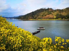 -新安江山水画廊风景区