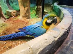 -Zoolung Zoolung动物主题公园(海信广场店)