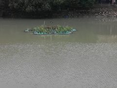 -邱记私房菜·十八年本地菜