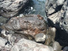 -龙头岩(Dragon Head Rock)