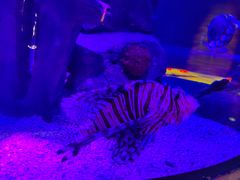 -沈阳海洋探索中心