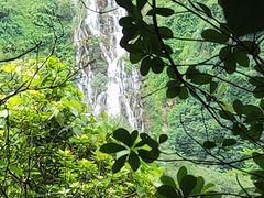 -水濂山森林公园