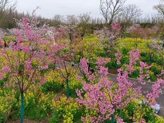 -东平国家森林公园