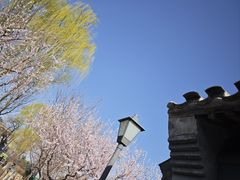 -三里河公园