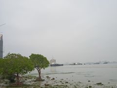 -霞山观海长廊