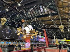 -谢列梅捷沃国际机场