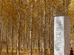 -汉景帝阳陵博物院