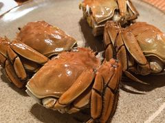 -扬子江国际会议中心龙山湖酒店-希仙全日制餐厅