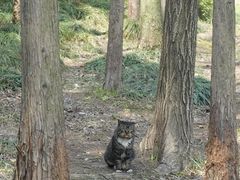 -渤公岛生态公园