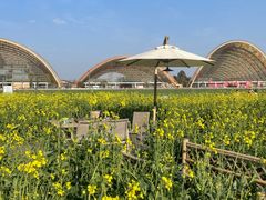 -中国天府农业博览园