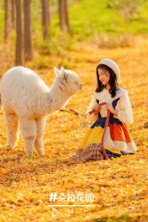 -DORA kids 朵拉儿童摄影花园店