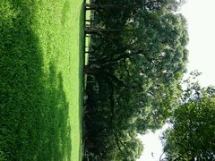 android_upload_pic-中山大学学者灵芝(园南路店)