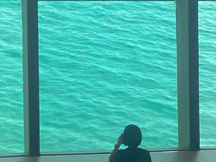 -抱抱地球咖啡馆(国家海洋博物馆店)