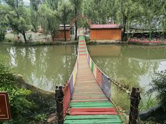 -东方巨龟苑景区