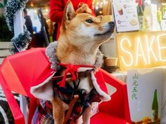-老外街