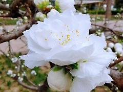 -木塔寺遗址生态公园