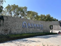 -南京眼步行桥