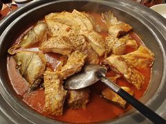 开河鲤鱼-九十九顶毡房(阜石路店)