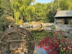 -三忘湖 SWANSEEN(柳荫公园店)