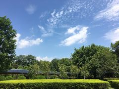 -金山公园