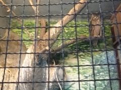 -上海大自然野生昆虫馆(东方明珠·爬宠昆虫探索中心)