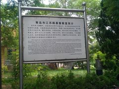 -青岛市江苏路基督教堂