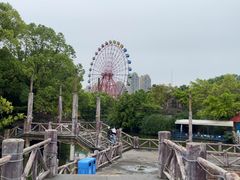 -南湖梦幻岛
