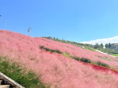 -沂蒙云瀑洞天景区