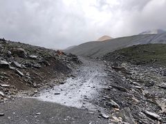 -祁连山·岗什卡雪峰景区