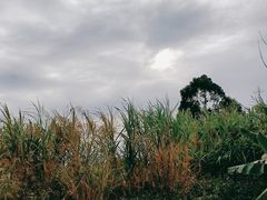 -新塘水果乐园(东洲大道店)