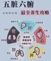 -香薇妮丝·定制减肥·身材管理