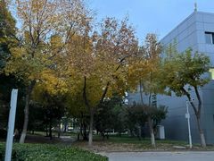 -北京国家会计学院