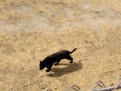 -石家庄市动物园